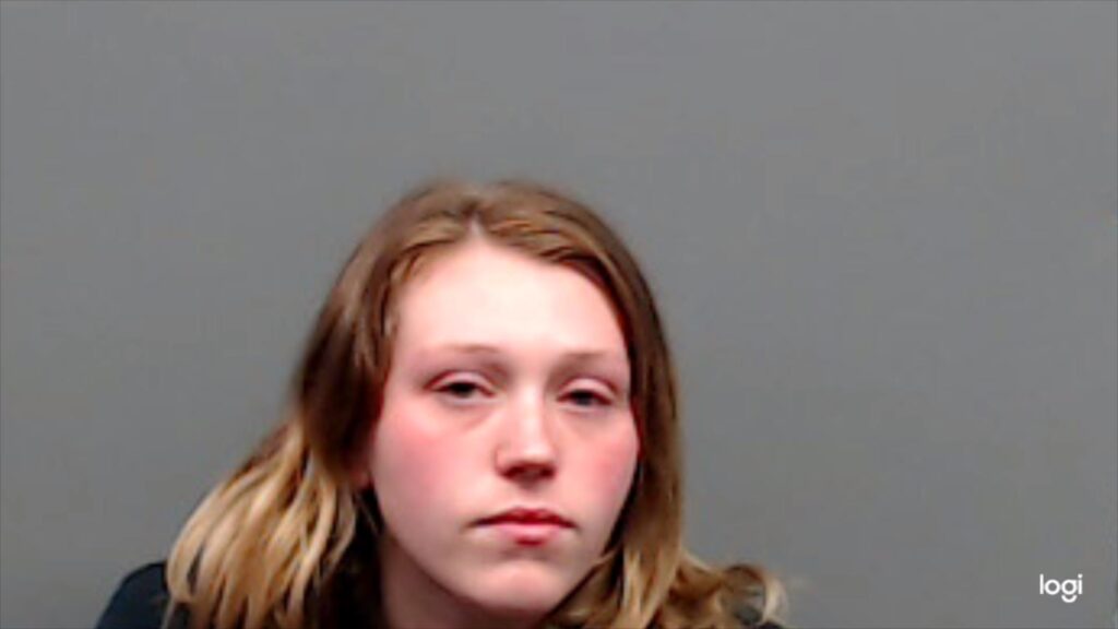 HARGETT, HANNAH ELISE arrested in Smith County, Texas mugshot