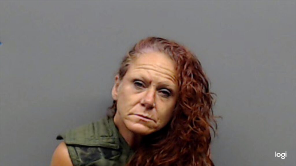 MCNABB, ANGELINA arrest record in Smith County, Texas MCNABB, ANGELINA arrested in Smith County, Texas mugshot