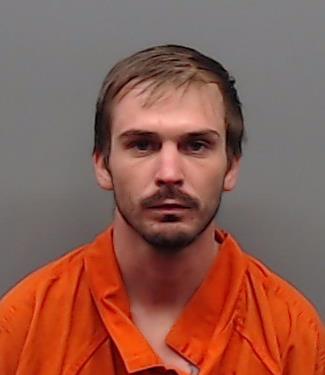 SANDERS, LAINE ALLEN booking photo