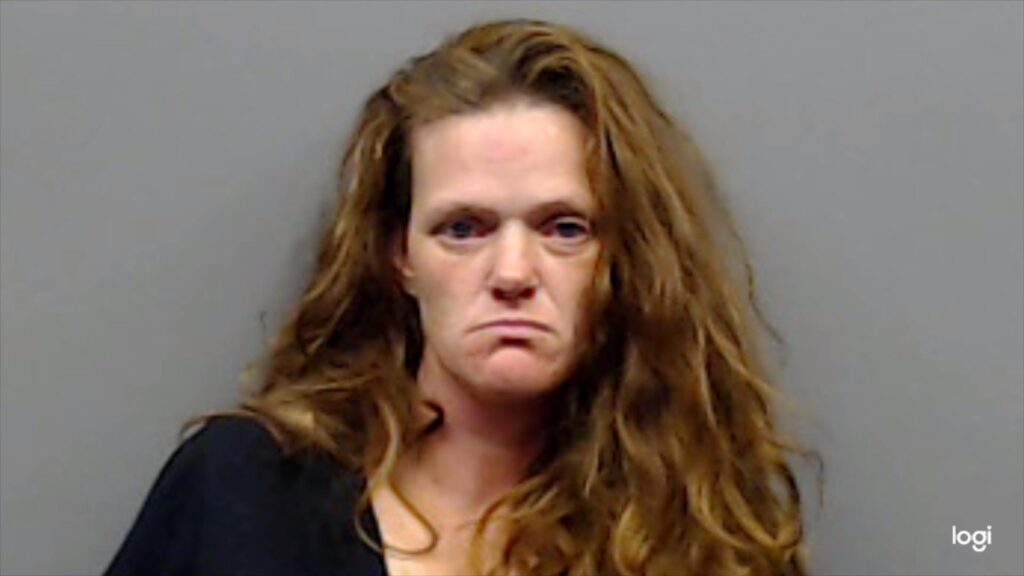 NEAL, SAVANA MARIE arrested in Smith County, Texas mugshot