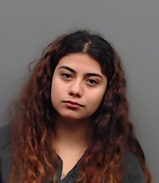 FLORES-SANCHEZ, ANDREA booking photo