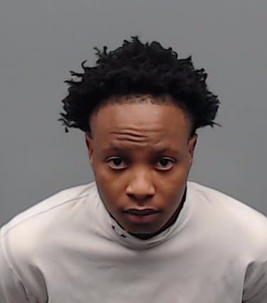 BURNS, HOUSTON PARNELL booking photo