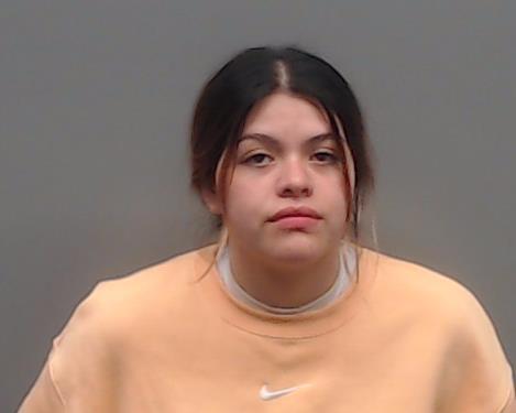 CASTILLO, NALLELY booking photo