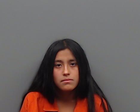 MARTINEZ, DOLORES IDALIA booking photo