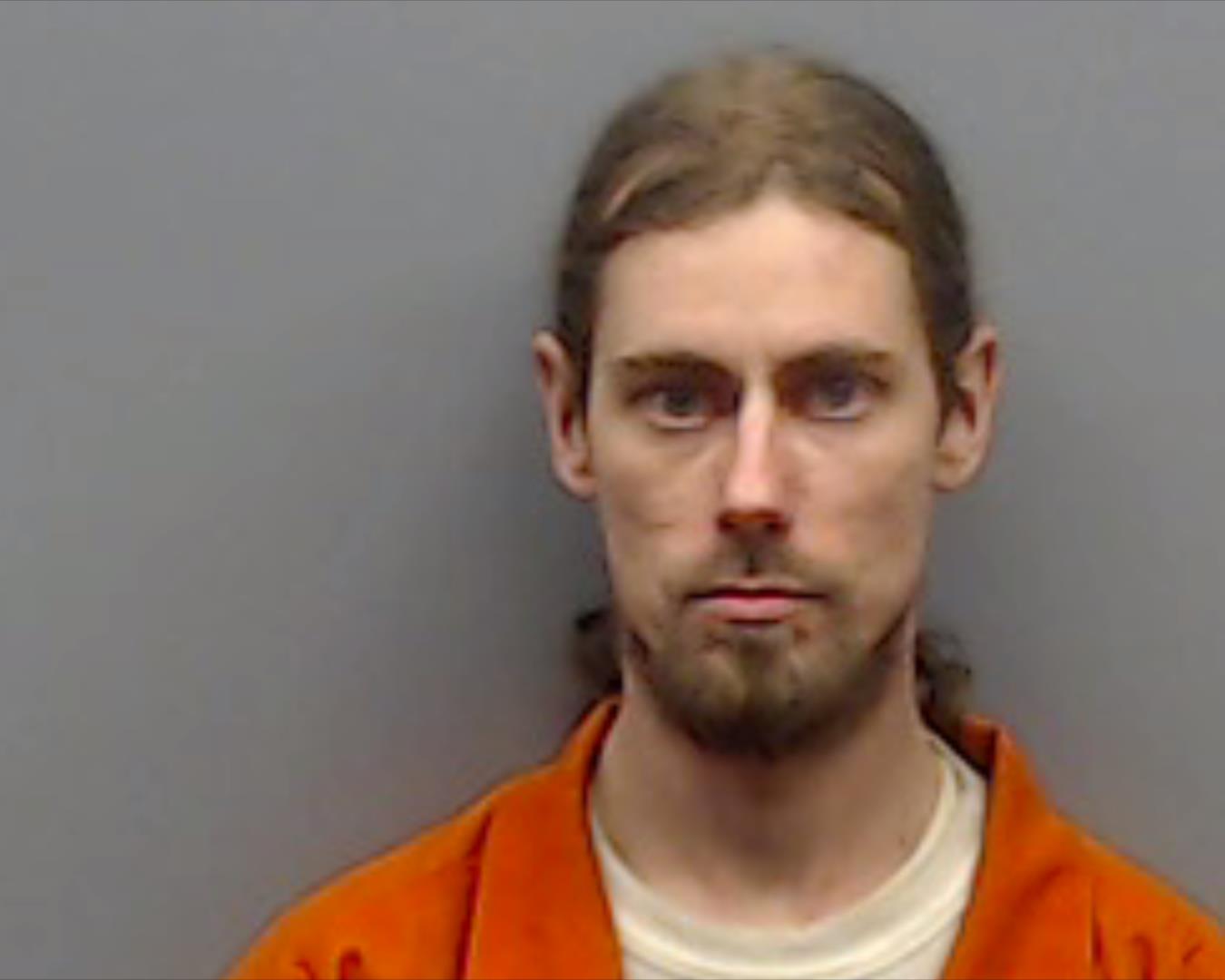 FERGUSON, JADE ERVIN booking photo