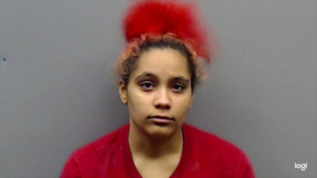 FRITZ, NEISHA ELAINE arrested in Smith County, Texas mugshot