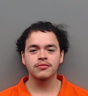 ALFORD, JAMES WILLIAM booking photo