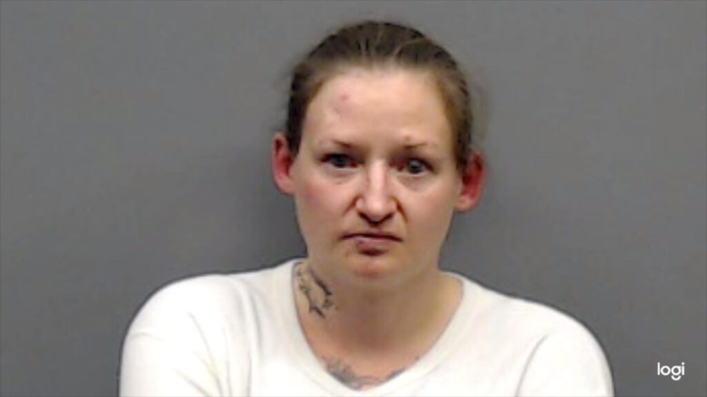 HELFER, AMANDA ANN booking photo
