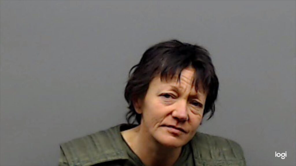WALKER, RIKKI LYNN arrest record in Smith County, Texas WALKER, RIKKI LYNN arrested in Smith County, Texas mugshot