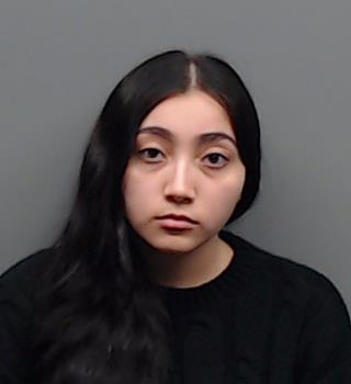 VILLELA-FALCON, STEPHANY booking photo
