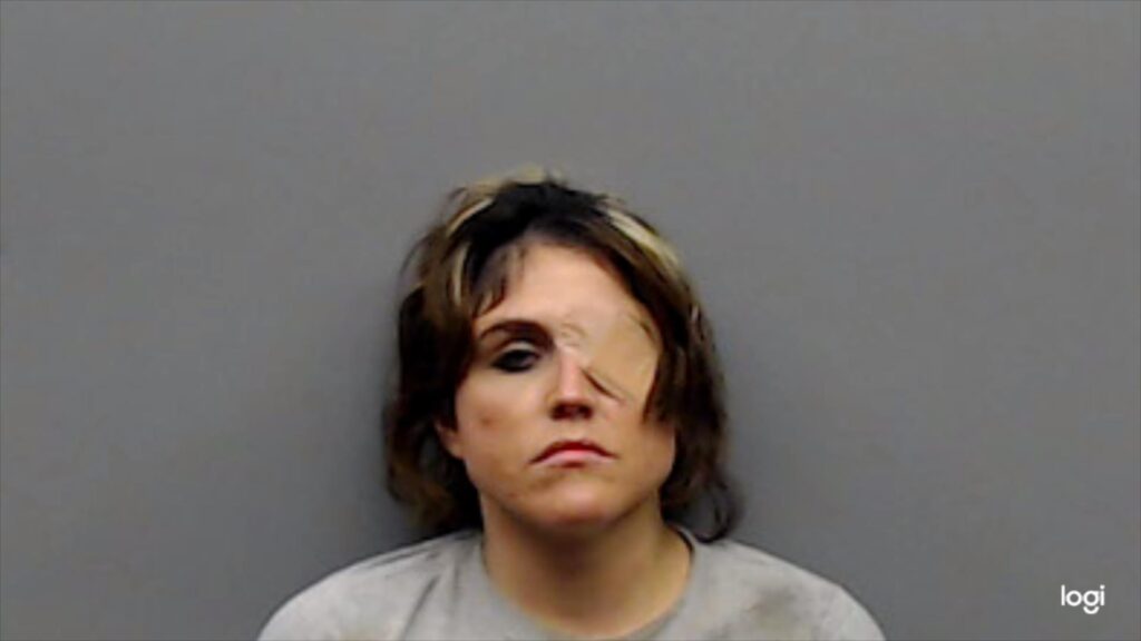 PANELLI, FALENE AMANDA arrest record in Smith County, Texas PANELLI, FALENE AMANDA arrested in Smith County, Texas mugshot