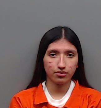 BRAVO, YOSELIN booking photo