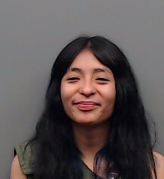 DAMIAN, REMMY booking photo