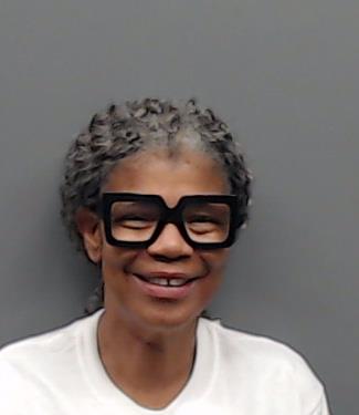 LINDSEY, SARAH ANN booking photo