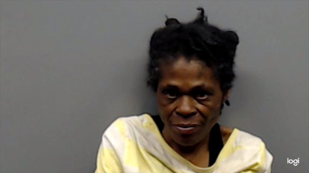 JOHNSON, DIAN ROCHELLE booking photo