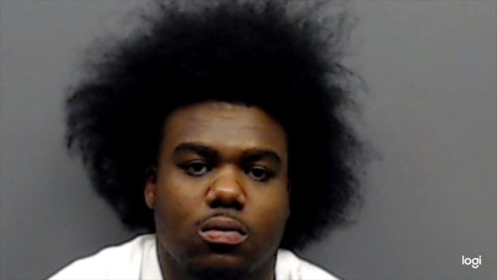 BURSEY, THOMAS ANTHONY, II booking photo