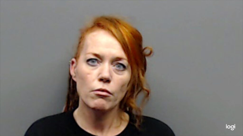 LEEDY, BRANDY booking photo