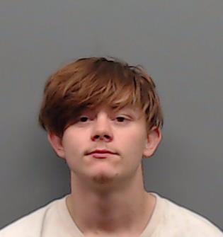 MINK, AUSTON ERICK booking photo