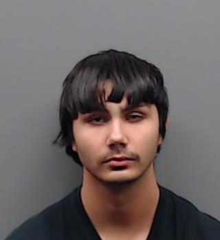 JOHNSON, SEAN ALTON PATRICK booking photo