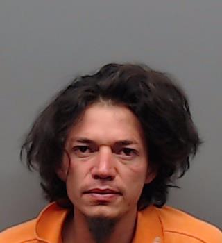 DOMINGO-CRUZ, CARLOS booking photo