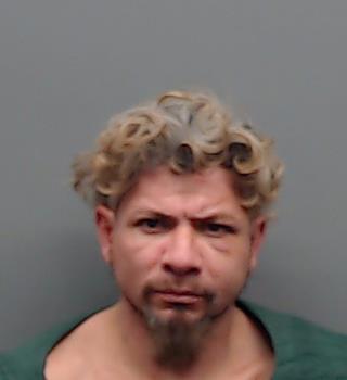 MENDEZ, WILLIAM JOSE VALLEJOS booking photo