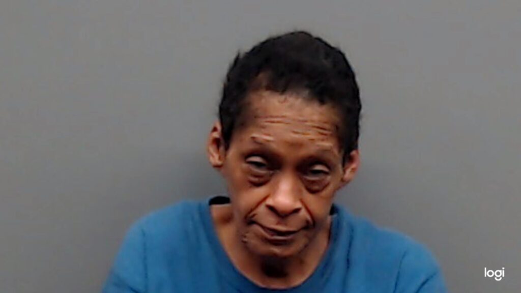 ATES, DEMETRA KAY booking photo