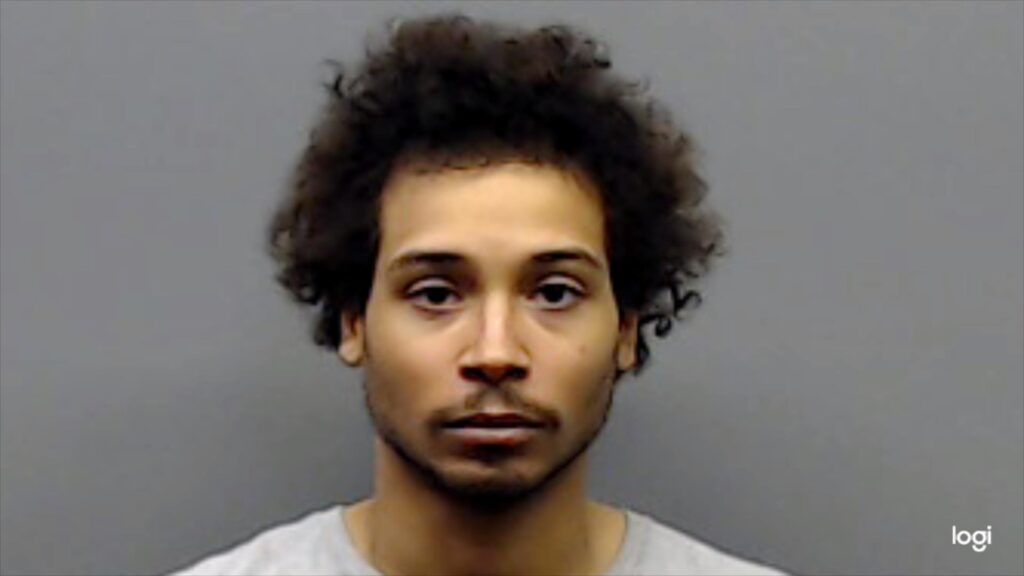 AYOOLUWA, OLUWATAYOMI MICHAEL booking photo