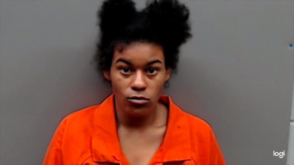 JOHNSON, JAMEKA ANN booking photo
