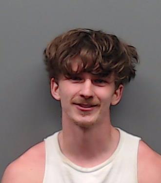 WILSON, IAN booking photo