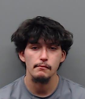 LUNA, JONATHAN RAANAN booking photo