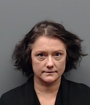 VOLK, ANGELA DAWN booking photo