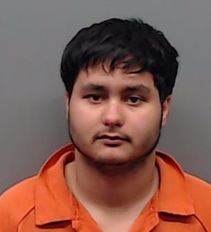 HORNEA, ALIN booking photo