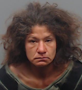 BROWN, JAMIE LEE booking photo