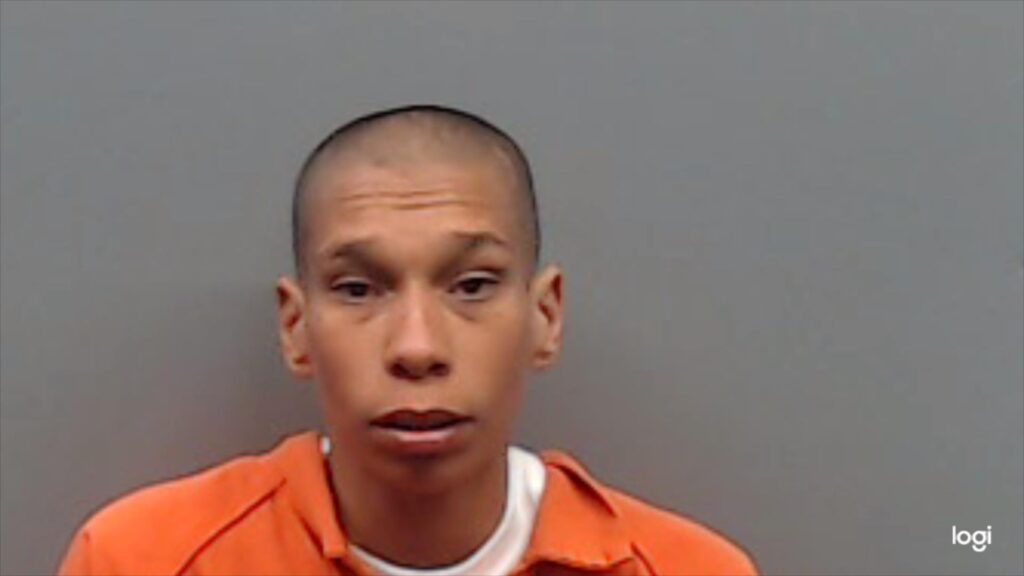 REEVES, ROBIN REBECCA booking photo