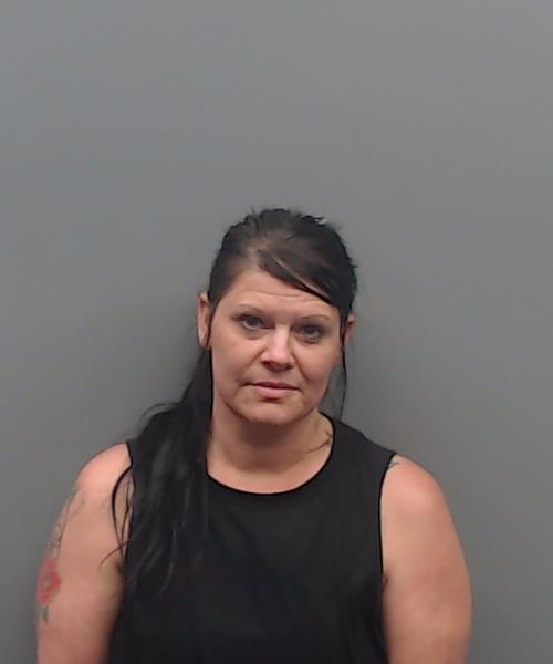 VIERS, ASHLEY booking photo