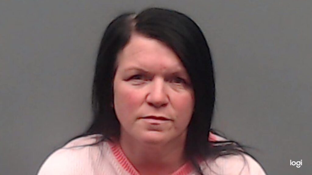LEVINE, AMANDA G. booking photo