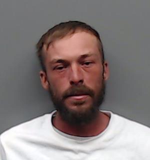 LEE, LEVY AARON booking photo