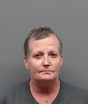 WILSON, TERI ANN booking photo