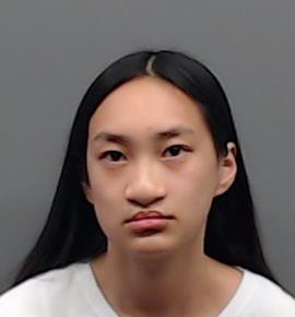 EVERETT, HALLIE ANN BEI booking photo