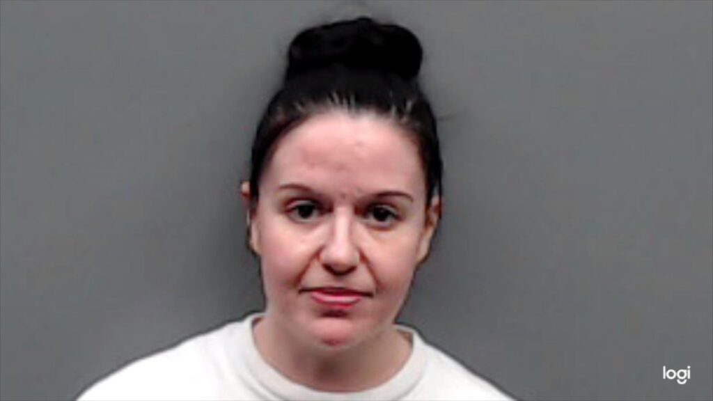 HEASLEY, DANA ELIZABETH booking photo