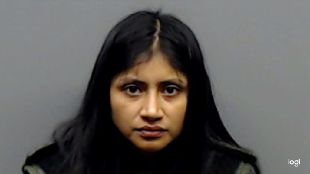 SANCHEZ-BENITEZ, BRISEIDA booking photo