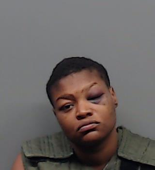 ERWIN, BRIANNA NICOLE booking photo