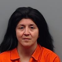HERNANDEZ, LETICIA HERNANDEZ booking photo