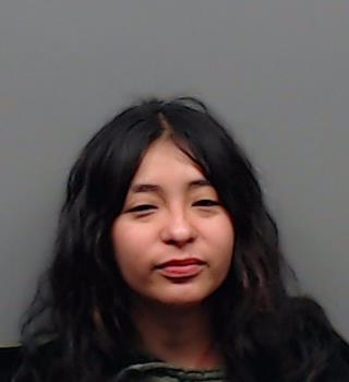 DAMIAN, REMMY booking photo