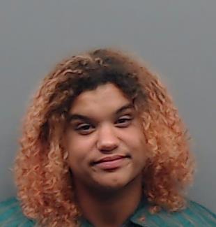 WOODSON, ANGELIA DAWN booking photo