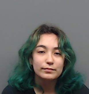 SUITER, HAILY RENAE booking photo