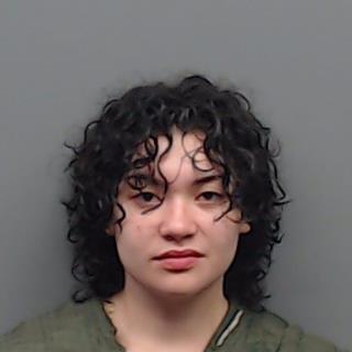DAVIS, STEPHANIE ANN booking photo