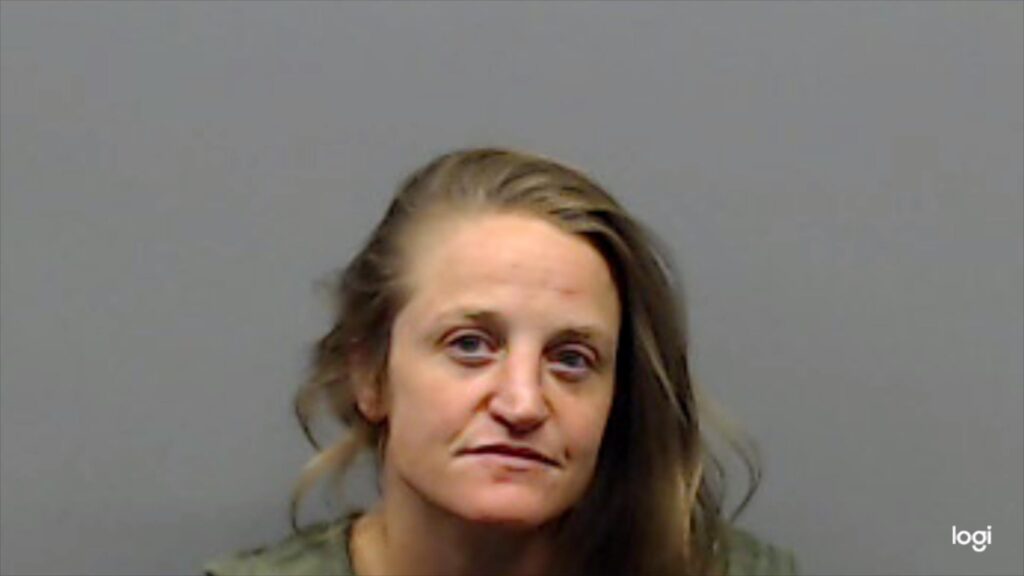 AINSWORTH, LISA booking photo