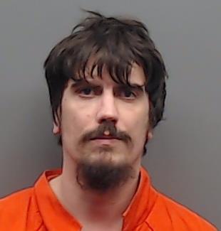 WILSON, MARK DOUGLAS booking photo