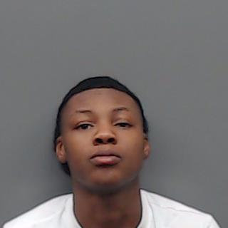 RICHARDSON, DASIA CAMILLE booking photo